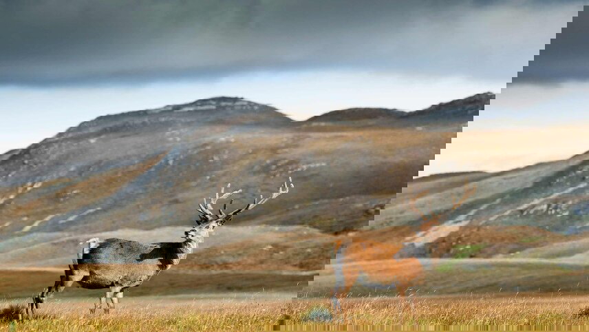 Highland Trail Inspired by Outlander