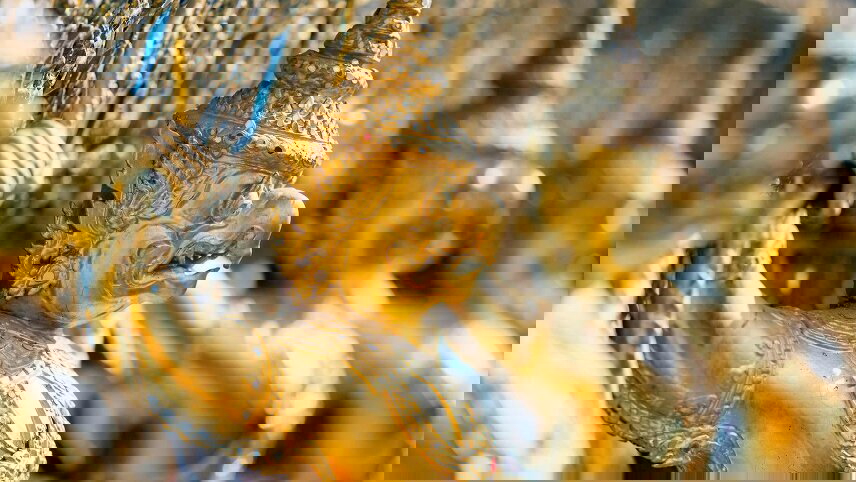 Treasures of Thailand