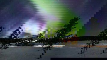 7 Day Alaska Northern Lights (Trafalgar)