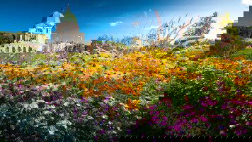 9 Day Best of Eastern Canada (Trafalgar)