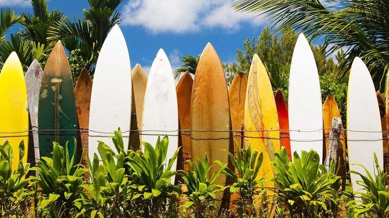 Best of Hawaii (First Class)