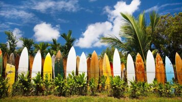 10 Day Best of Hawaii (Moderate) (Trafalgar)