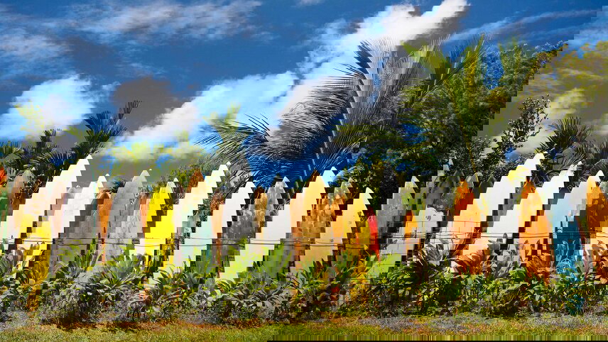 Best of Hawaii (Moderate)