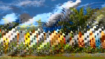 10 Day Best of Hawaii (Premier) (Trafalgar)