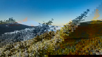 8 Day Best of the Pacific Northwest (Trafalgar)