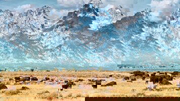 9 Day Five Epic National Parks (Trafalgar)