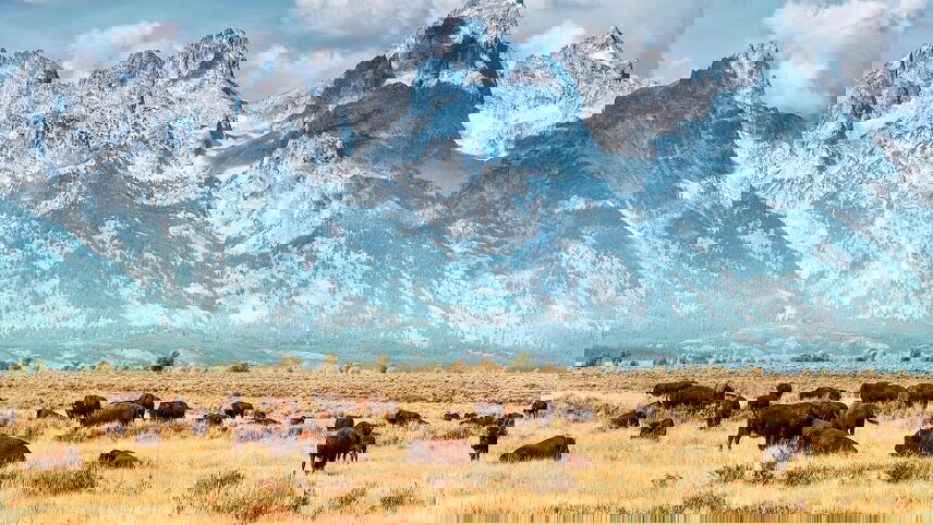 Five Epic National Parks