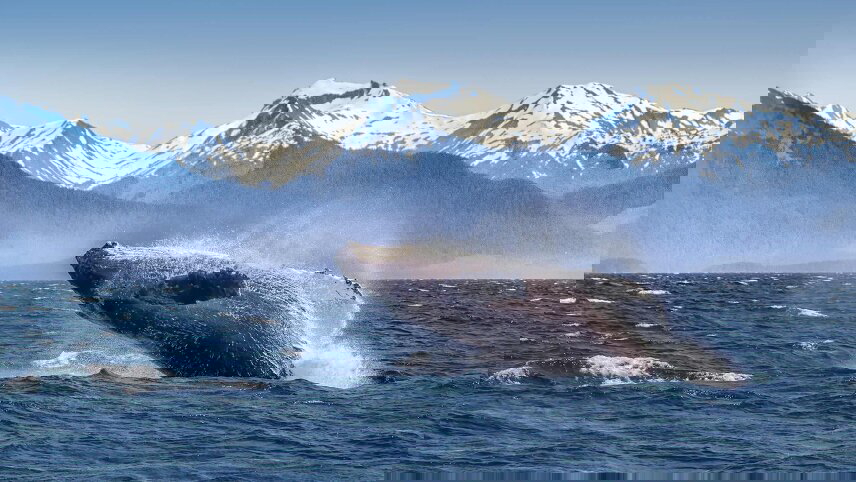 Spectacular Canadian Rockies with Rocky Mountaineer and Alaska Cruise