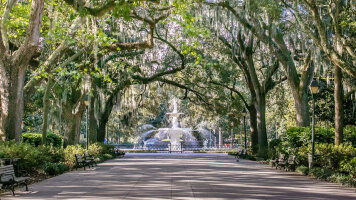 7 Day Charms of Southeast USA (Trafalgar)