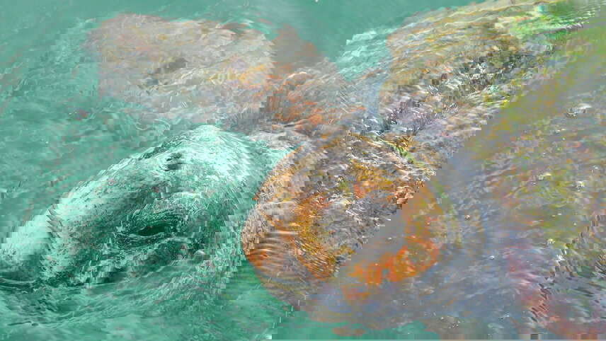 Charms of Southeast USA