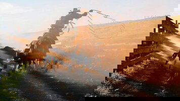 10 Day Western Frontiers (Trafalgar)