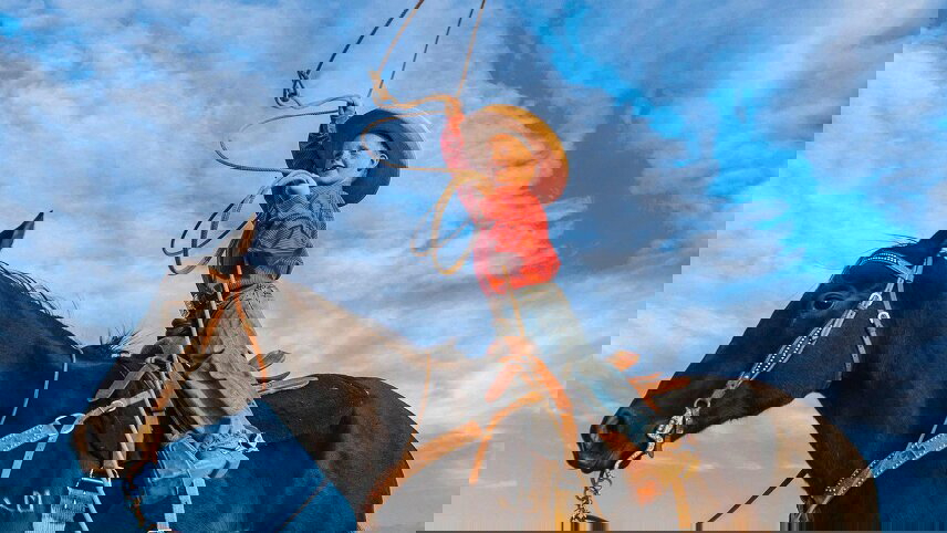 Wild West, Cowboys and Buffalos