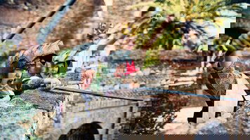 10 Day Castles and Kilts (Trafalgar)