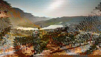 13 Day Best of Germany and Austria (Trafalgar)