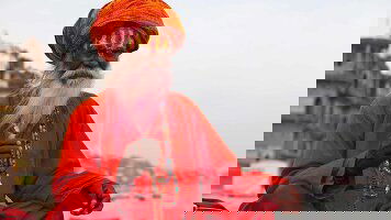 11 Day Best of India (Trafalgar)