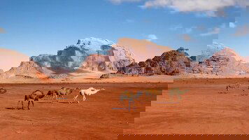 6 Day Jordan Experience (Trafalgar)