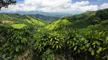 10 Day Costa Rica Nature Adventure with Guanacaste (Trafalgar)