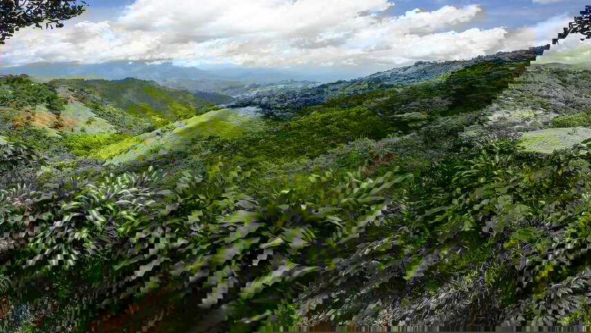 Costa Rica Nature Adventure with Guanacaste