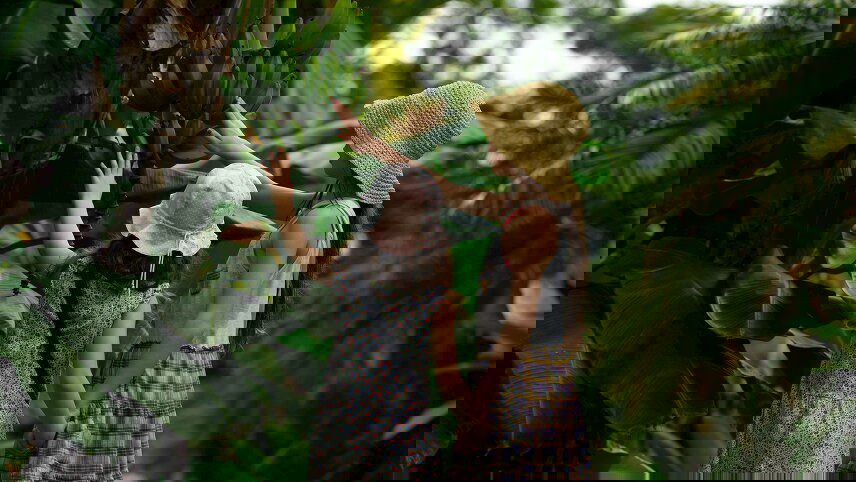 Monkeys, Jungles and Volcanoes