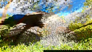 13 Day Highlights of Peru with Galápagos Legend North and Central Cruise (Trafalgar)