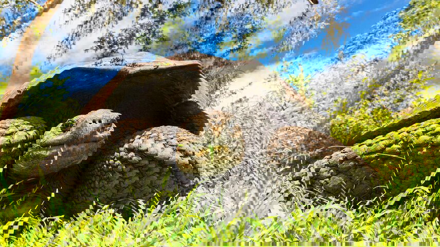 Highlights of Peru with Galápagos Legend North and Central Cruise