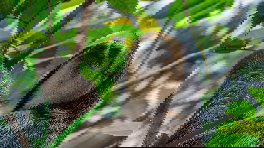 Highlights of Peru with Peruvian Amazon