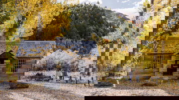 17 Day Untamed New Zealand (Trafalgar)