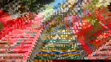 16 Day South America Revealed (Trafalgar)