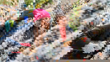 8 Day Danube Christmas Markets (Trafalgar)