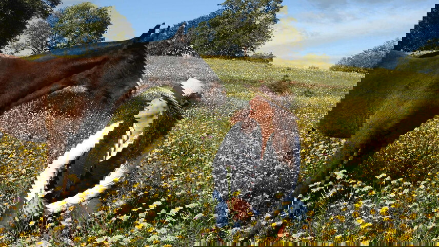 Spain, Morocco and Portugal Whirl