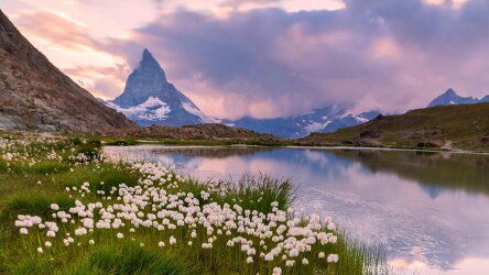 13 Day Switzerland and Austria (Trafalgar)