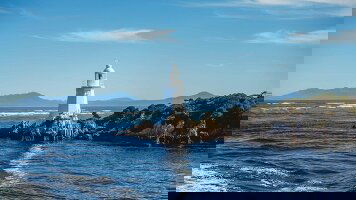 7 Day Tassie's Parks and Nature (Trafalgar)