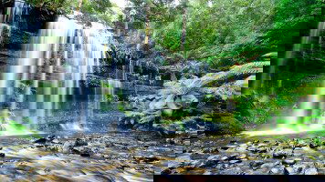 13 Day Perfect Tasmania (Trafalgar)