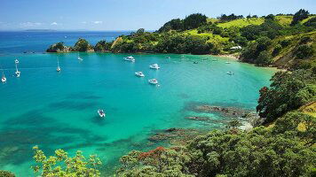 4 Day Jewels of the Bay (Trafalgar)