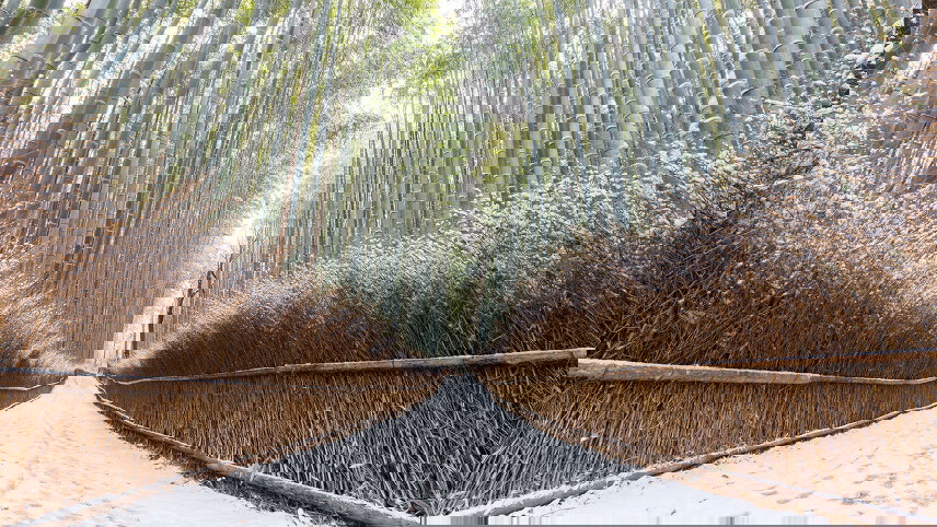 Japan Winter Adventure