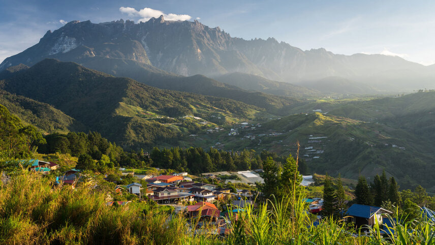 Wild Encounters of Borneo with Kuching (Small Group)