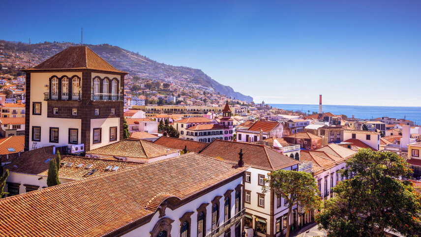 Madeira Island Escape (Small Group)