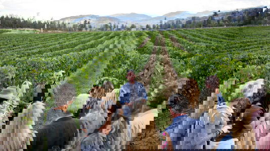 What Sets Trafalgar Apart?