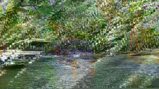 Premium Journeys, Exceptional Value