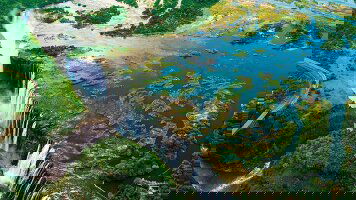 15 Day Cape Town to Chobe Adventure (Travelmarvel)