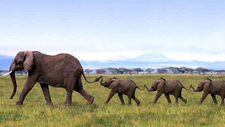 14 Day Kenya and Tanzania Adventure (Travelmarvel)