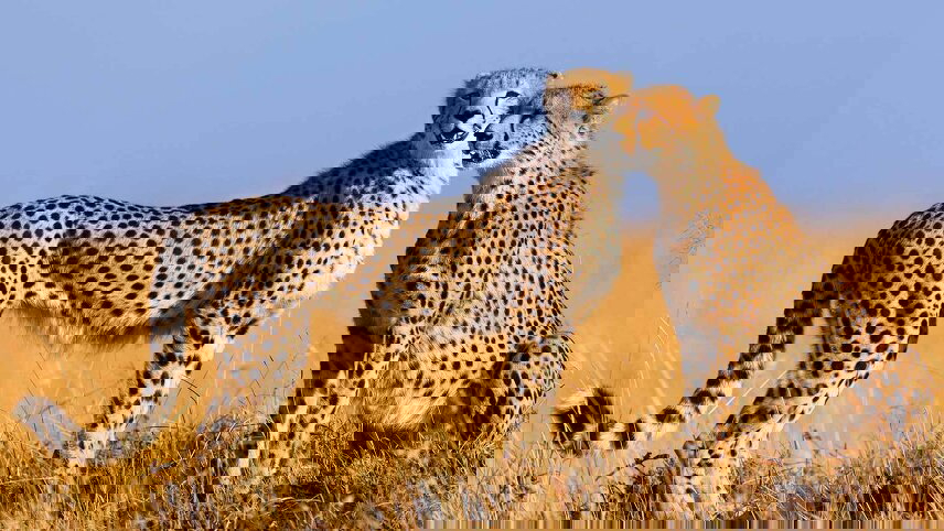 Kenya and Tanzania Adventure