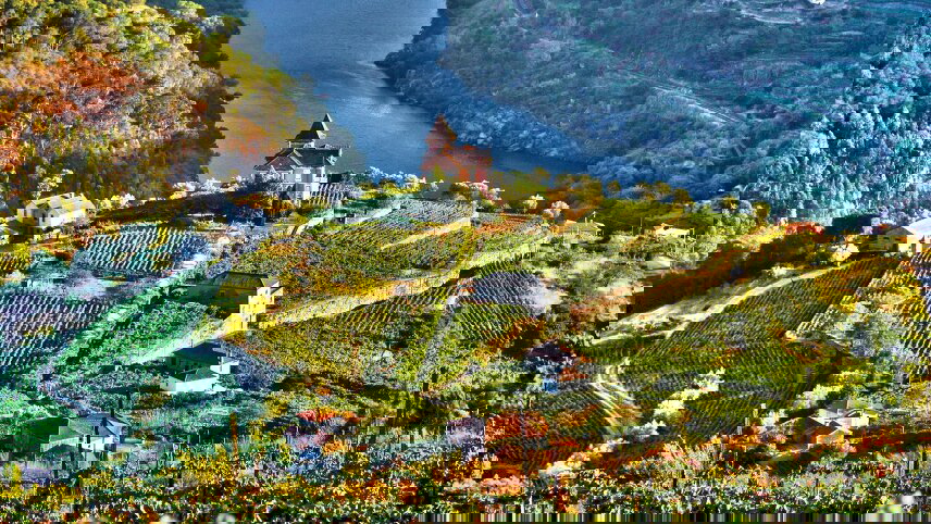 Douro Discovery