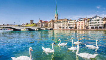 12 Day The Rhine and Moselle with Zürich and Lucerne (Travelmarvel)