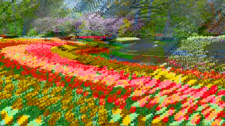 Springtime in the Netherlands and Belgium