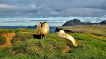 16 Day Viking Trails and Rhine and Moselle (Travelmarvel)