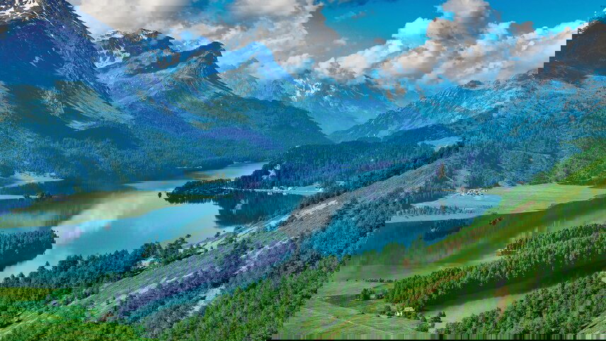 Alpine Discovery