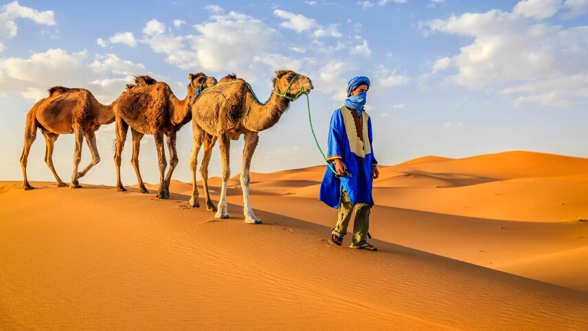 Explore Morocco
