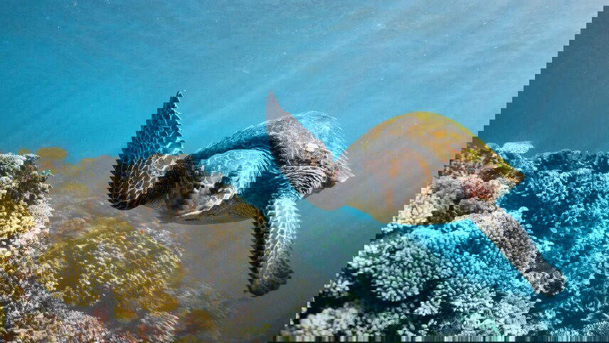 West Coast Discovery by 4WD