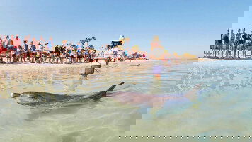 11 Day West Coast Discovery by 4WD (Travelmarvel)